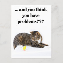 Postcard Katze schaut "Küken" an schwarzer Spaß