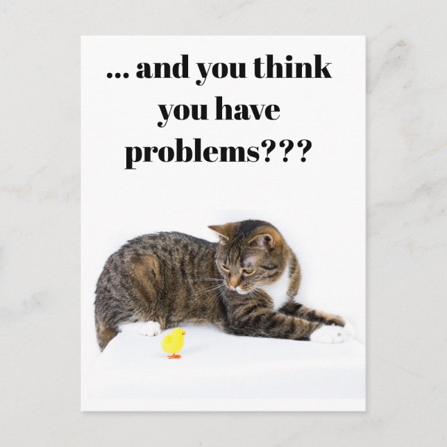 Postcard Katze schaut "Küken" an schwarzer Spaß Postkarte (Vorderseite)