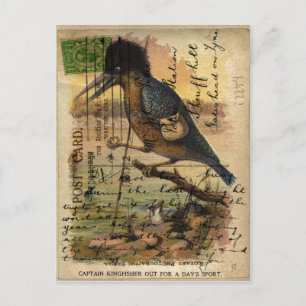 Postcard Kingfisher Postkarte