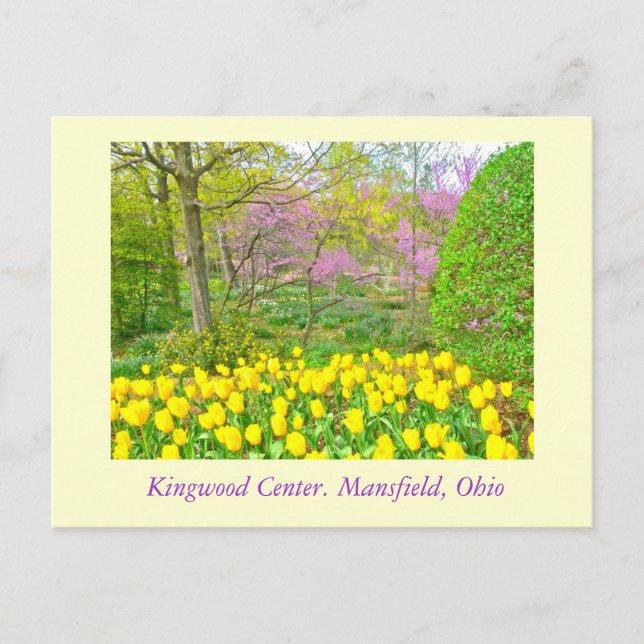 POSTCARD, "KINGWOOD CENTER GARDENS" POSTKARTE (Vorderseite)