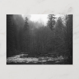 Postcard - Misty Salmon River, Oregon Postkarte