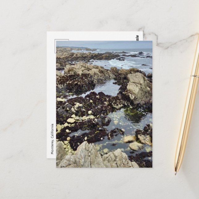 Postcard - Monterey, Kalifornien Postkarte (Vorderseite/Rückseite Beispiel)