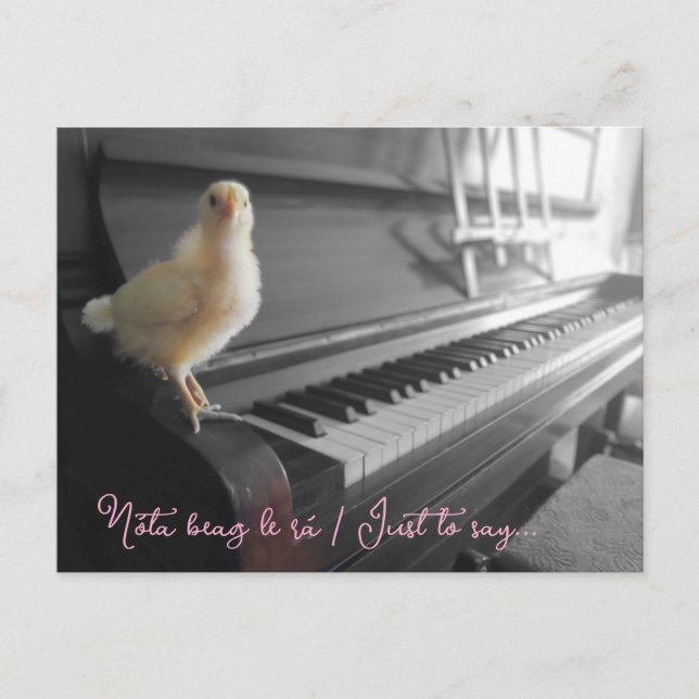 Postcard Nóta beag le rá / Nur zu sagen Postkarte (Vorderseite)