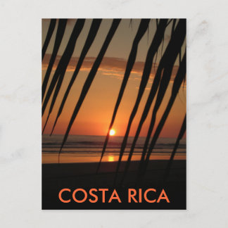 Postcard Palm Sunset, COSTA RICA Postkarte