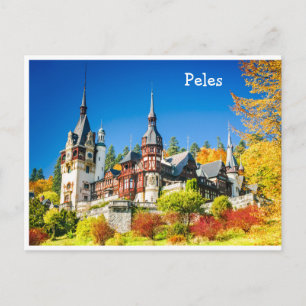 Postcard Peles, Sinaia Postkarte