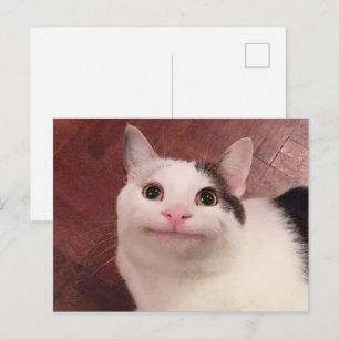 Postcard Polie Cat Meme Postkarte