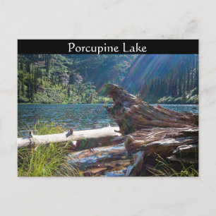 POSTCARD ~ "Porcupine Lake nähe Clark Fork, Idaho Postkarte