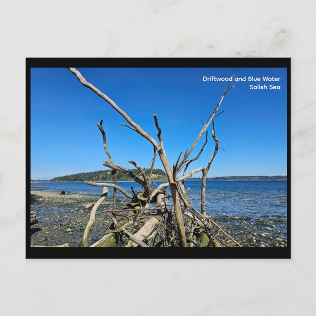 Postcard Postkarte (Vorderseite)