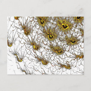 Postcard Postkarte