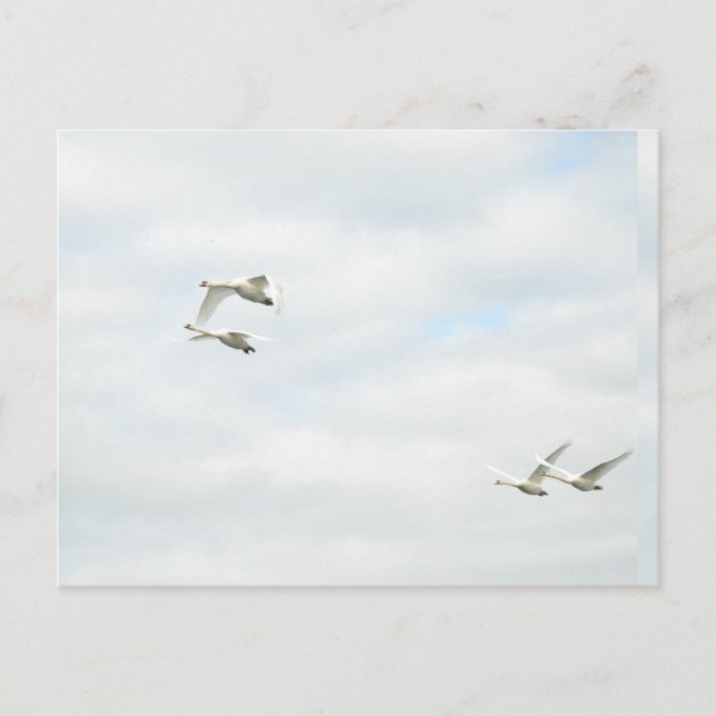 Postcard Postkarte (Vorderseite)