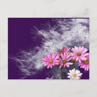 Postcard Postkarte Blumen und Distelsamen