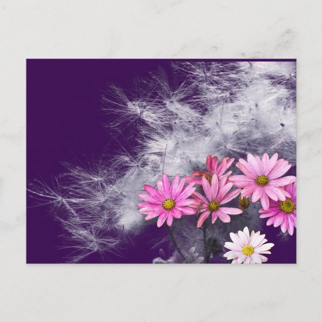 Postcard Postkarte Blumen und Distelsamen (Vorderseite)