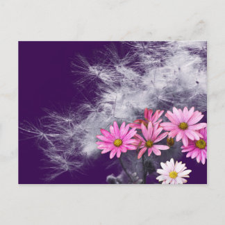 Postcard Postkarte Blumen und Distelsamen