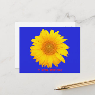 Postcard Postkarte Sonnenblume Liebe Grüße
