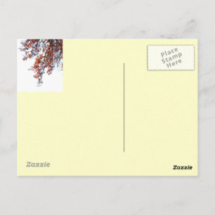 Postcard-Red Kite in der Windkollektion Postkarte