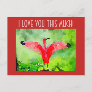 Postcard - Rosa Flamingo - Ich Liebe Sie so viel! Postkarte