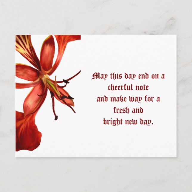 Postcard Royal Poinciana Postkarte (Vorderseite)