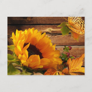 Postcard, Rustic Country Fall Sunflower Butterfly Postkarte