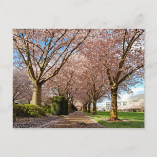 Postcard Salem Cherry Blossoms & Squirrel Oregon Postkarte