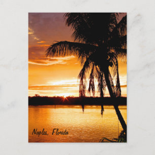 Postcard Silhouette Palm Tree, Orange Sunset Sky Postkarte
