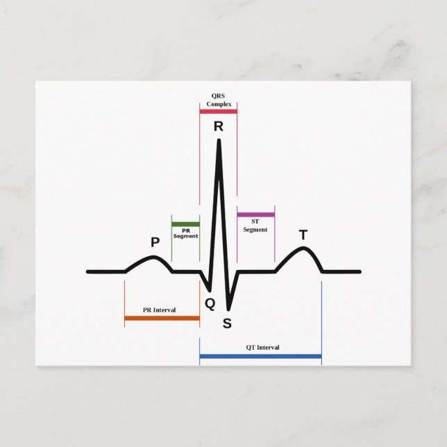 Postcard Sinus Rhythmus Elektrokardiogramm EKG Postkarte (Vorderseite)