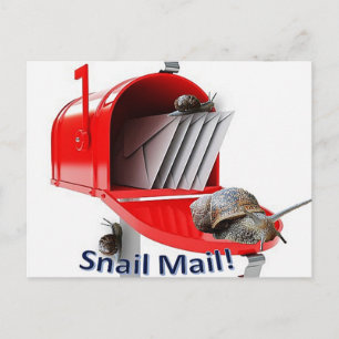 Postcard Snail Postkarte