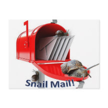 Postcard Snail
