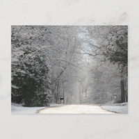 Postcard, Snow-Szene Hi-def-Fotografie