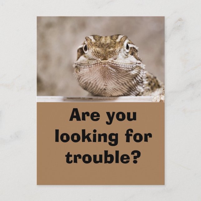 Postcard Spaß Eschaut herausfordernd hervor Postkarte (Vorderseite)