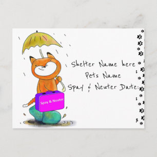 Postcard Spay & Neuter Cats Feline Shelter Postkarte