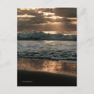 PostCard_splash Postkarte