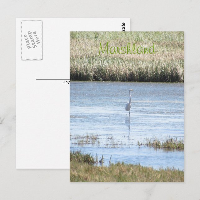 Postcard - stehend stolz postkarte (Vorne/Hinten)