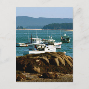 Postcard Stonington, Maine Postkarte