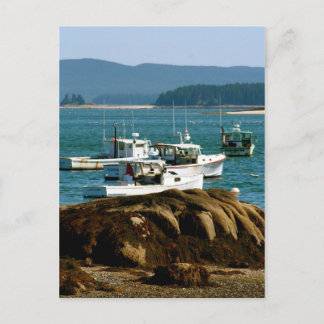 Postcard Stonington, Maine Postkarte