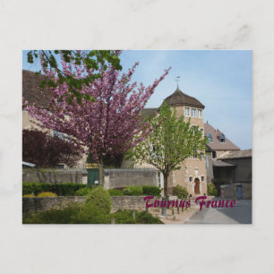 POSTCARD - Tournus Frankreich Postkarte