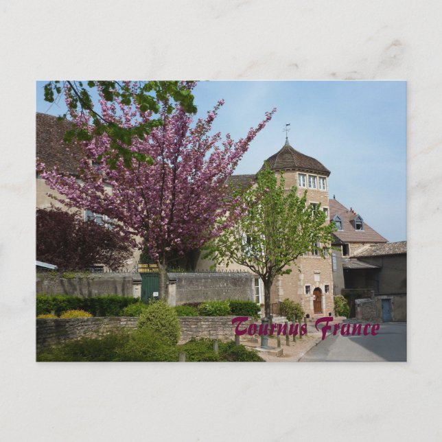 POSTCARD - Tournus Frankreich Postkarte (Vorderseite)