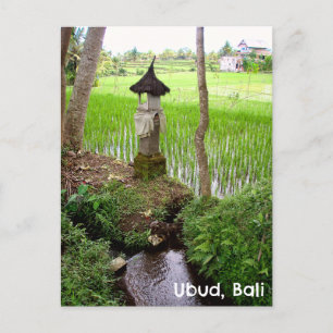Postcard Ubud Bali Indonesien Reisfeld Temple Postkarte