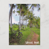 Postcard Ubud Bali Indonesien Reisfelder Fahrrad