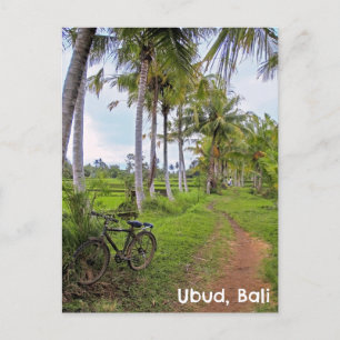 Postcard Ubud Bali Indonesien Reisfelder Fahrrad Postkarte