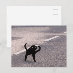 Postcard verflucht Cat Meme Postkarte