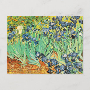 Postcard Vincent van Gogh Irises 1889 Blue Flowers Postkarte