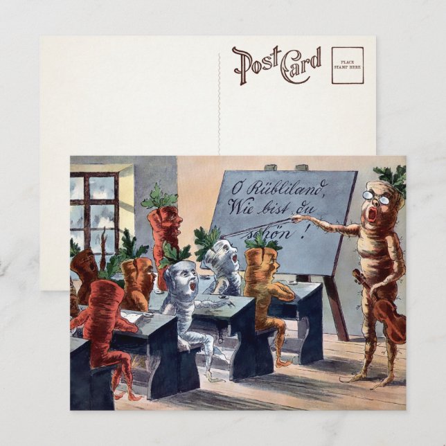 Postcard Vintag Carrots Music Class  Postkarte (Vorne/Hinten)