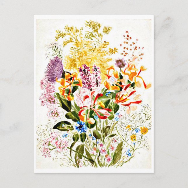 Postcard-Vintag Illustration-Beatrix Potter 10 Postkarte (Vorderseite)