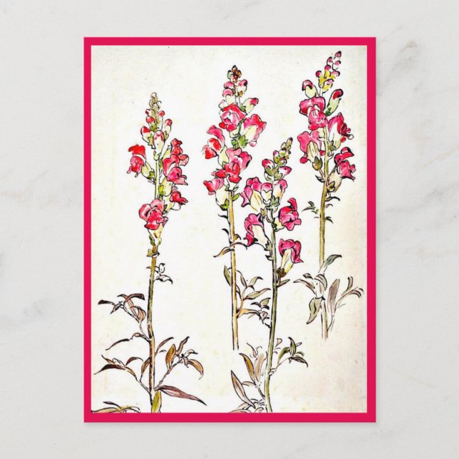 Postcard-Vintag Illustration-Beatrix Potter 7 Postkarte (Vorderseite)