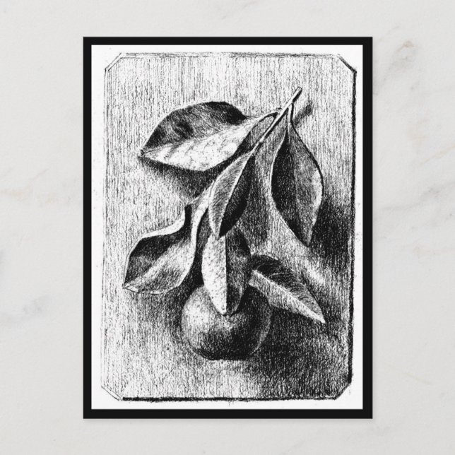 Postcard-Vintag Illustration-Beatrix Potter 8 Postkarte (Vorderseite)