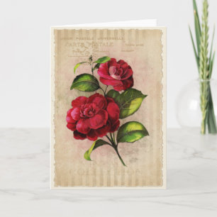Postcard Vintage Collection-Vol.3 - Greeting Card Karte
