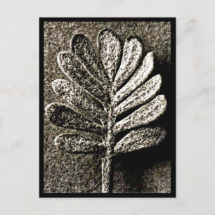 Postcard-Vintage Fotografie-Karl Blossfeldt 41 Postkarte