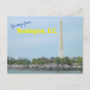 Postcard - Washington Monument and Cherry Blossoms Postkarte
