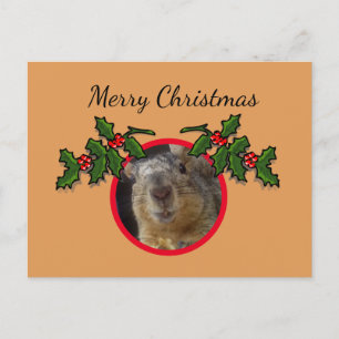 Postcard - Weihnachtsgrüße Eichhörnchen Postkarte