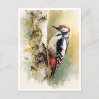 Postcard. Woodpecker Postkarte